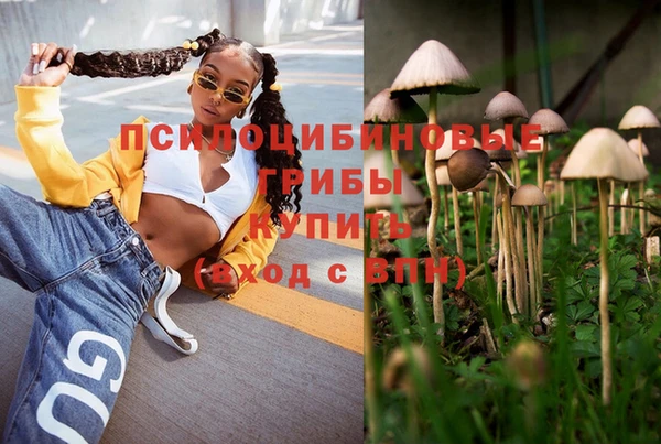 соль ск Аркадак