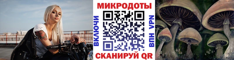 Псилоцибиновые грибы GOLDEN TEACHER  это какой сайт  Павловский Посад 